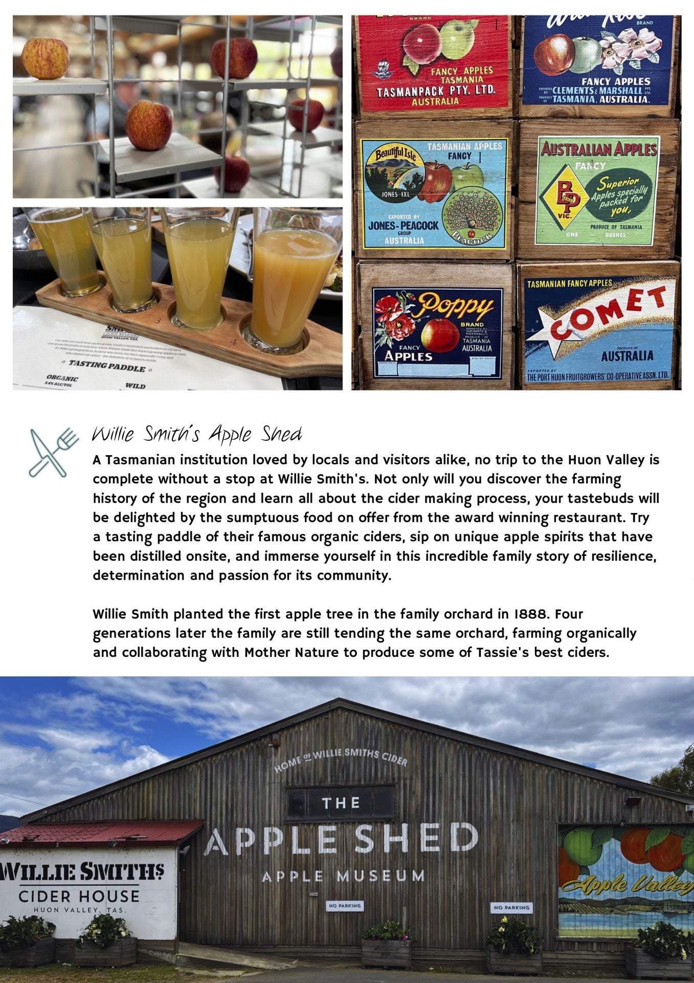 Hobart to Huon Valley - The Ultimate Road Trip Guide