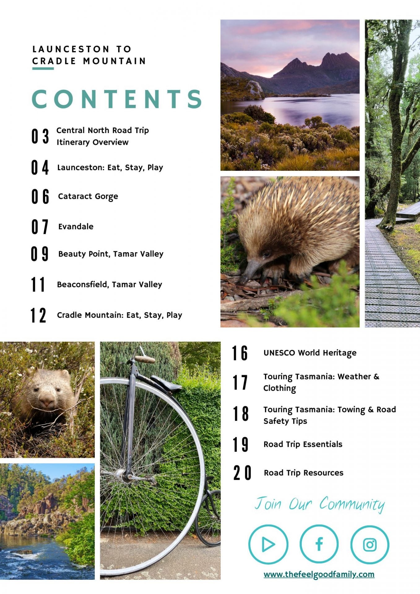 Mountain and forest landscapes near Cradle Mountain in Tasmania
